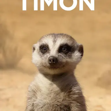 Profile image of 티몬