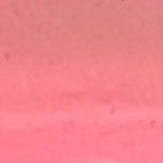 Profile image of 서라더