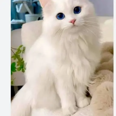 Profile image of 소다
