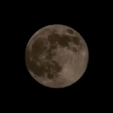 Profile image of 리무스 루핀