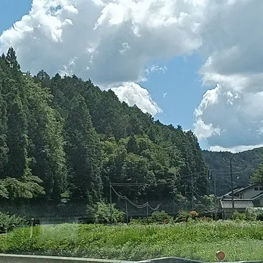 Profile image of Peaceful Town