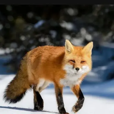 Profile image of 헤리