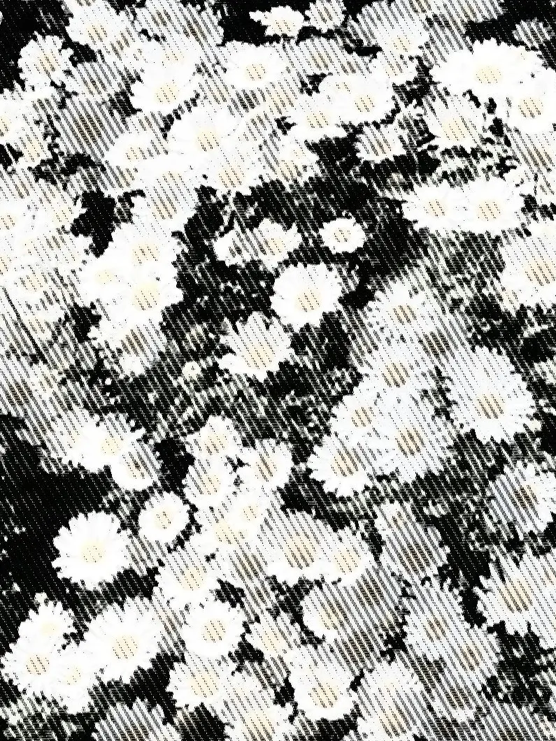 BI4BANG_Is-My-Heart-Breaker의 BIGBANG+狐女とバラエティ撮影！