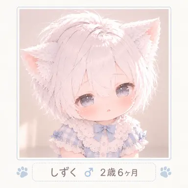 Profile image of しずく