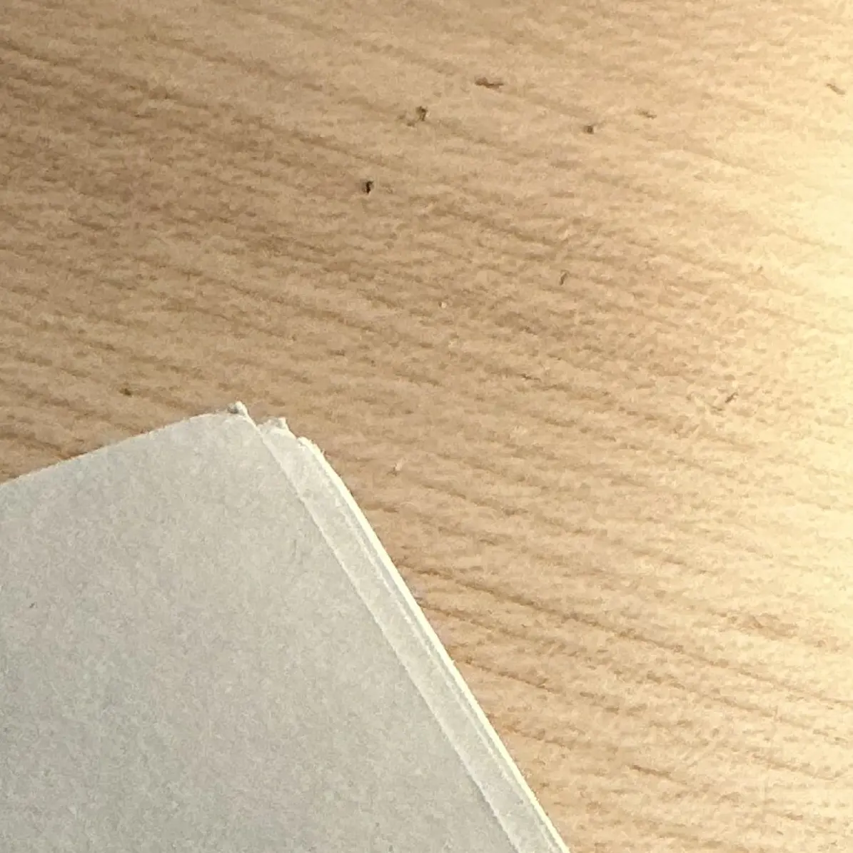 DottedDish8155의 애상