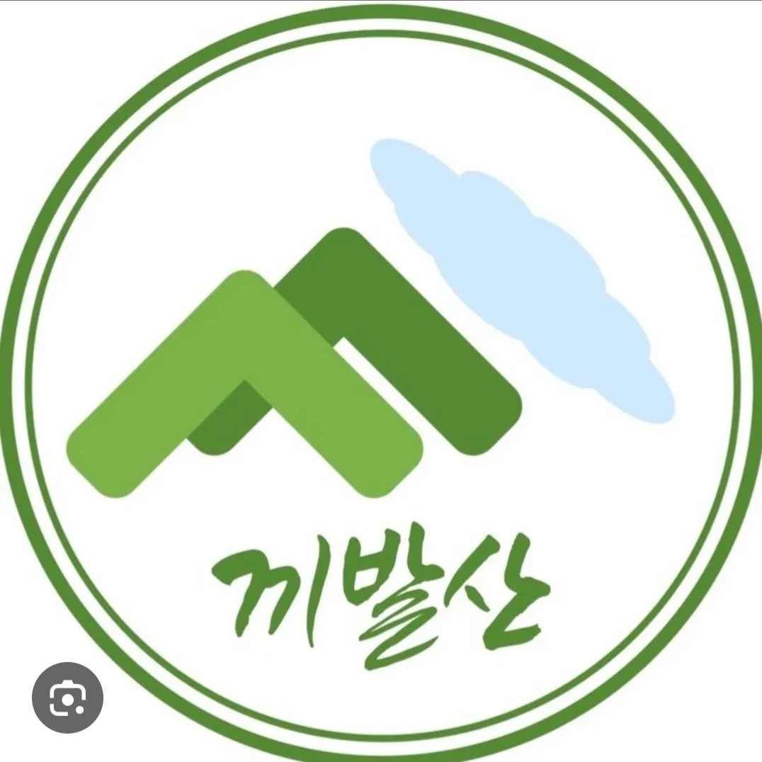 정의로운 빛의 주먹