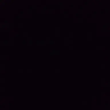 Profile image of Uri