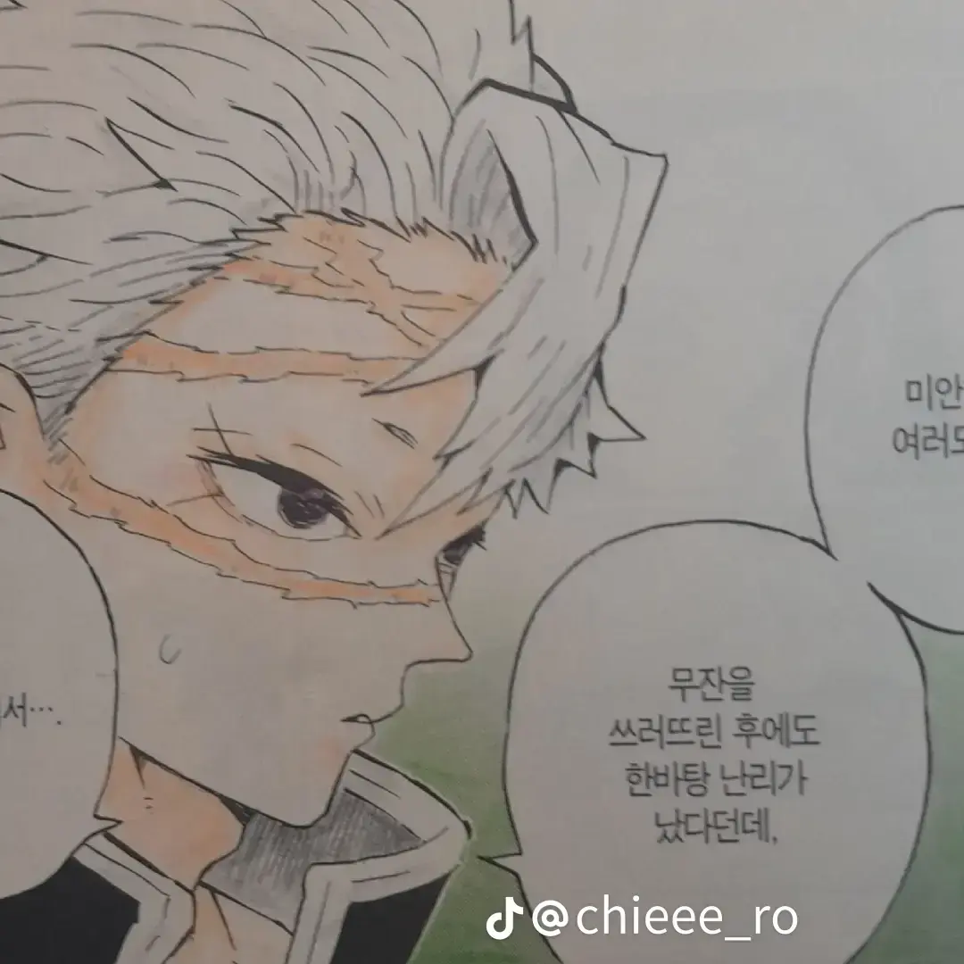 BruteVeery1250의 사네미를 혼내세요