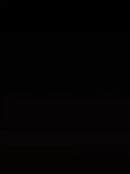 HH_.의 욕구장군 아내