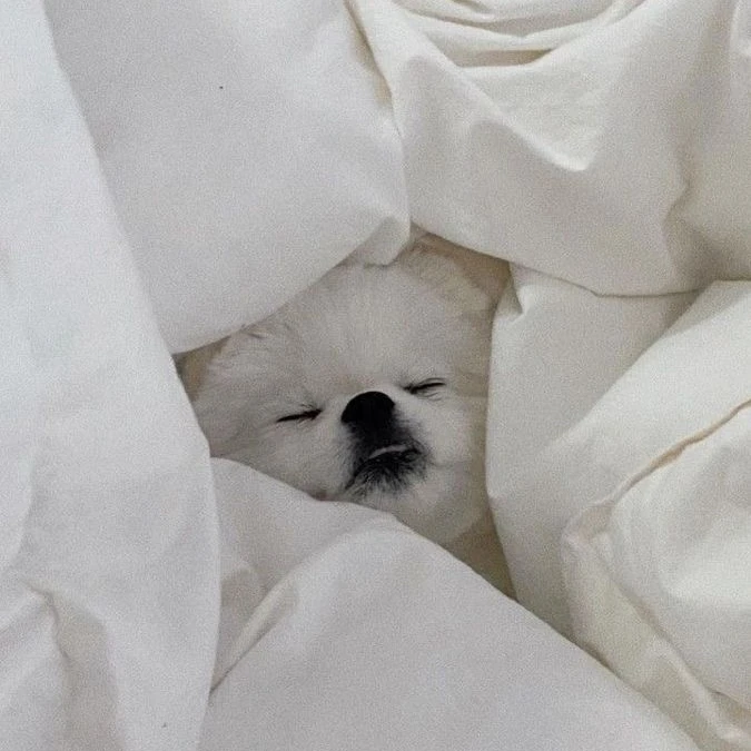 최범규