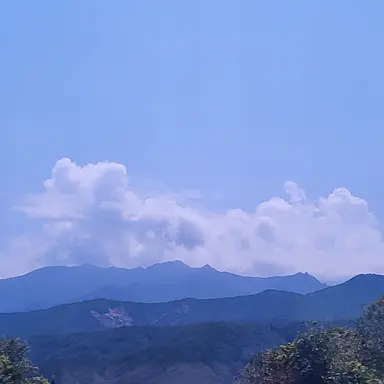 Profile image of 뜰팁 2p