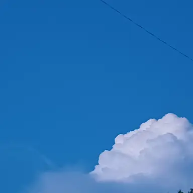 Profile image of 백도현