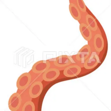 Profile image of 触手