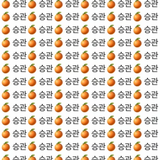 🍊