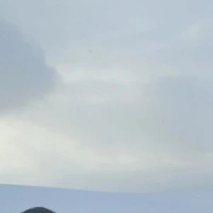 취존 꼰대