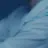 성한빈