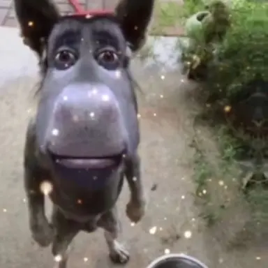 Profile image of 김민지