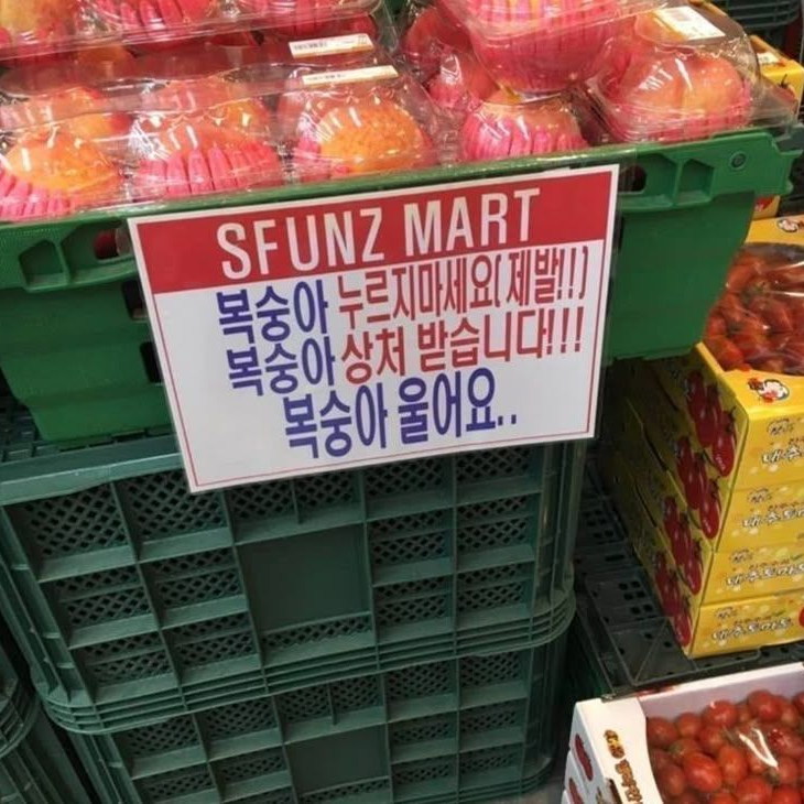 ㅤ 대표 이미지
