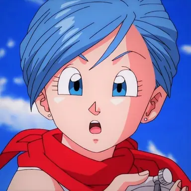 Profile image of Bulma
