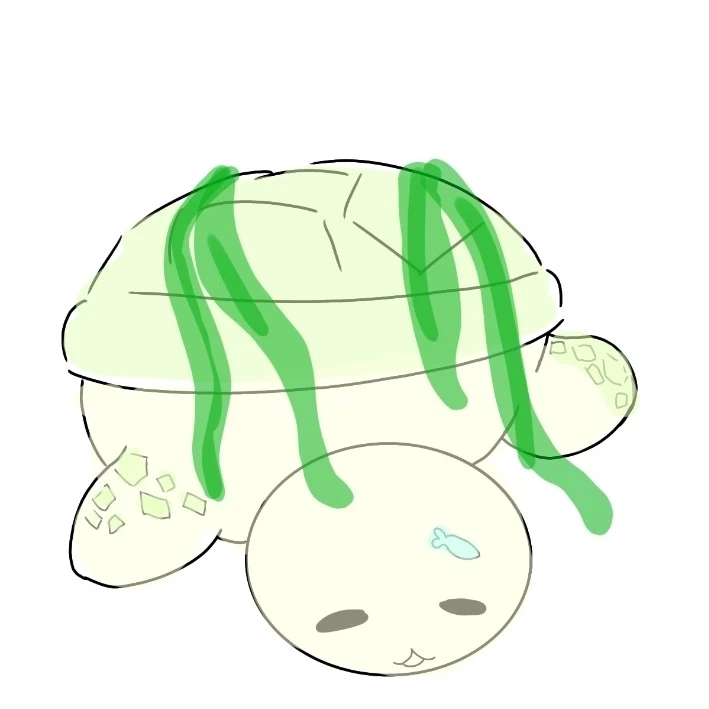 거북이