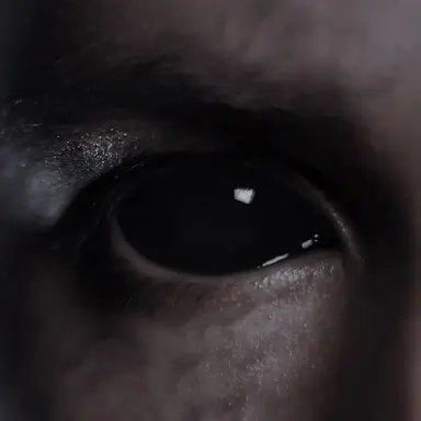 Profile image of Demon