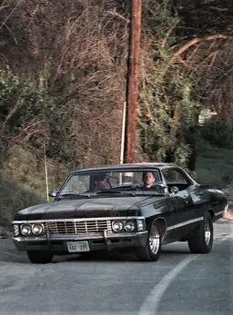 Profile image of The Impala
