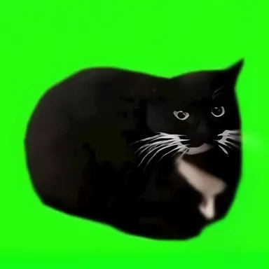 Profile image of 코스모자캐단