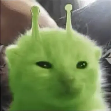 Profile image of 과케단