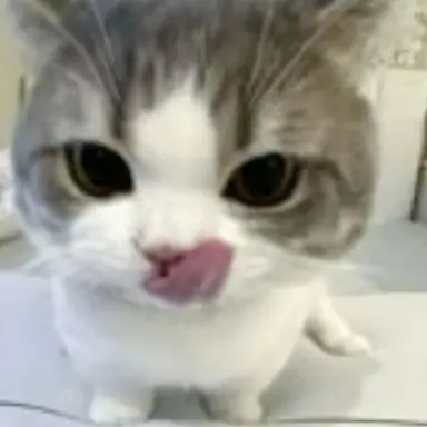 Profile image of 왈왈르르릌 왈