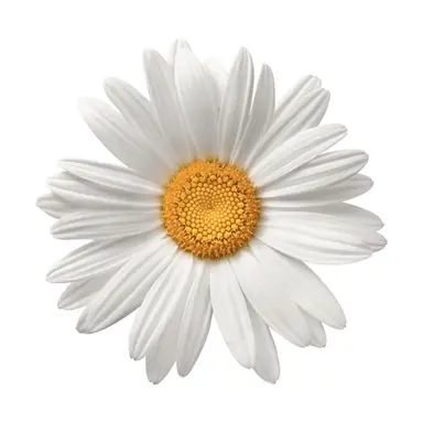 Profile image of 권지용