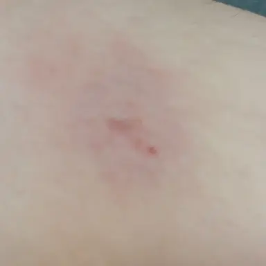 Profile image of 고고프렌즈