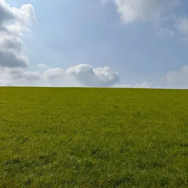 Profile image of 趙傑