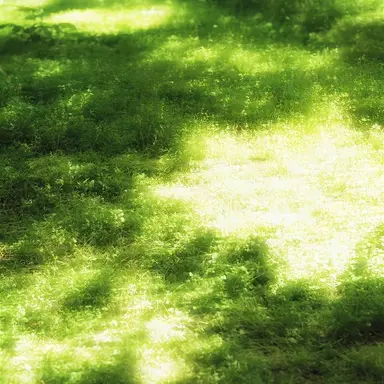 Profile image of 當小小