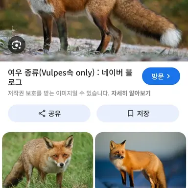 Profile image of 김여우