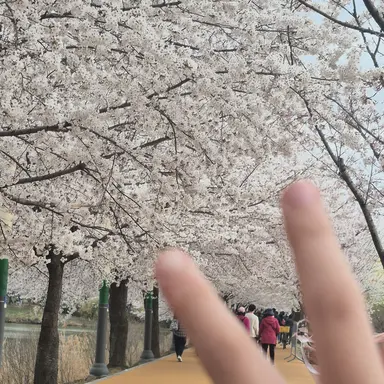 Profile image of 활기찬 멜로우
