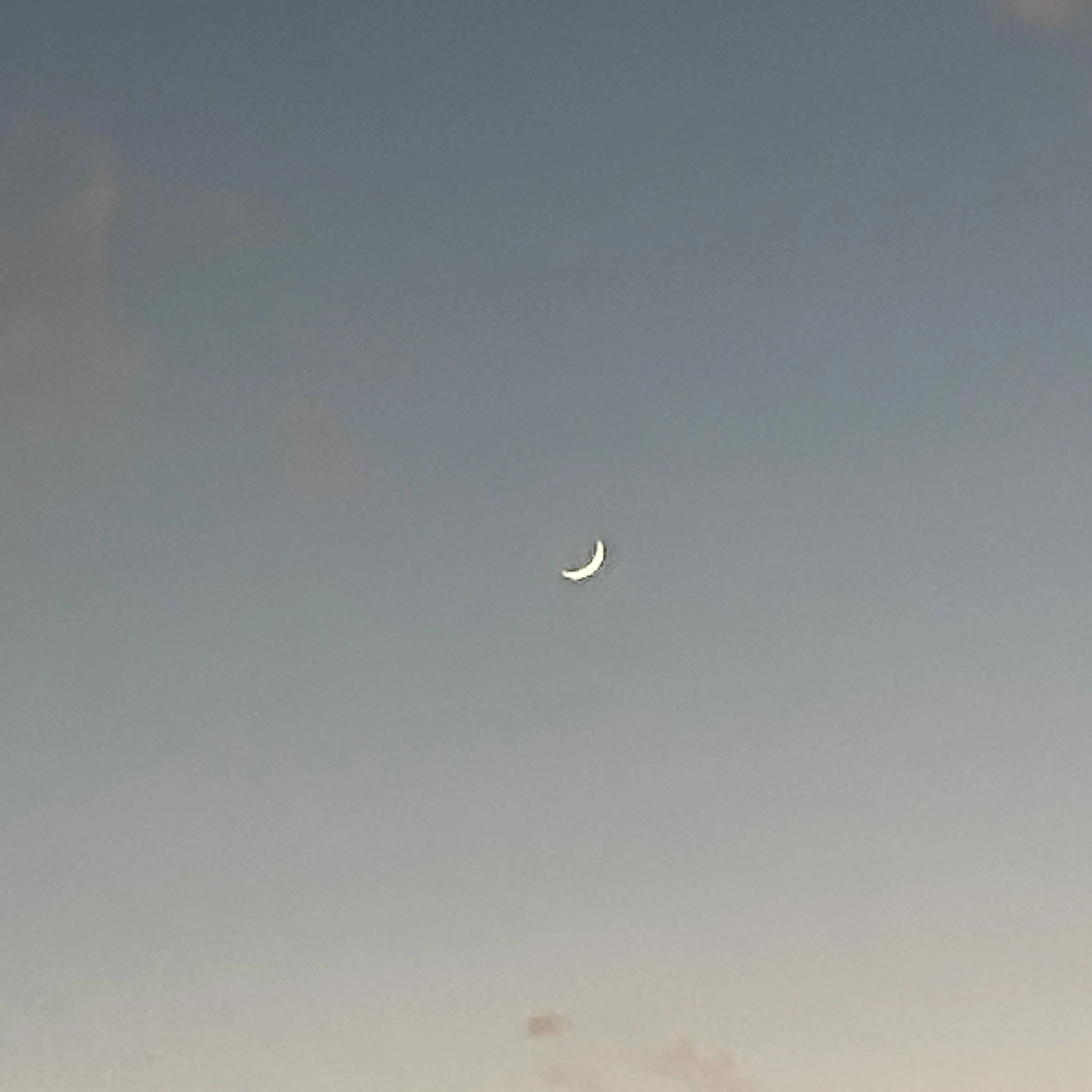 悠太