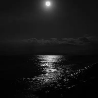 Profile image of 김일영