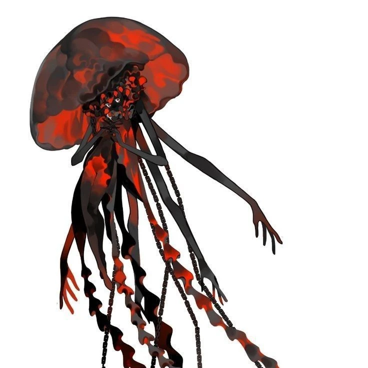 BLACK KORAL(블랙코랄)