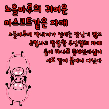 Profile image of 얄라 뽕