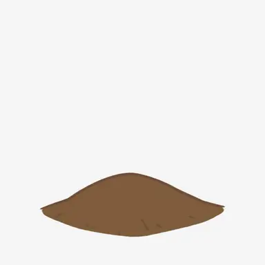 Profile image of 씨앗
