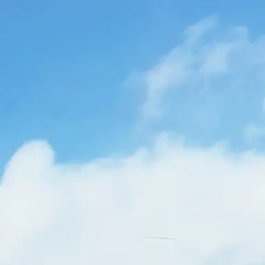 Profile image of 고고프렌즈