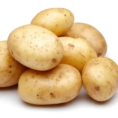 Profile image of ルートヴィッヒ