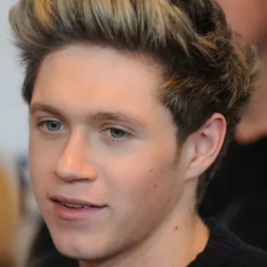 Profile image of Niall Horan