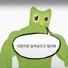 Profile image of 듀오링고