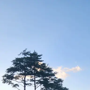 Profile image of 앙리 뒤프레