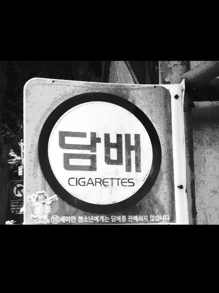 Ma.yo의 ㅤ