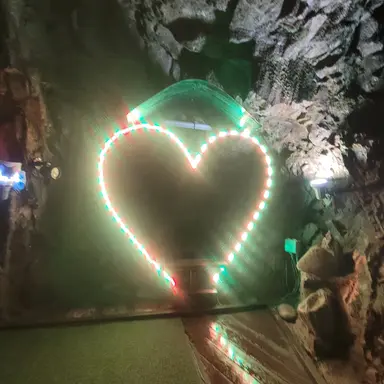 Profile image of 박다원