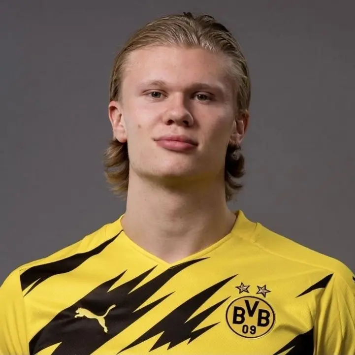 DeepKey1343의 Erling Haaland