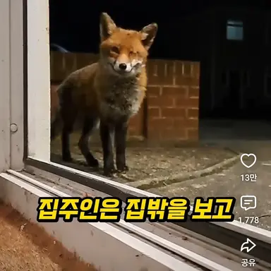 Profile image of 여우