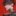 카일 테일러